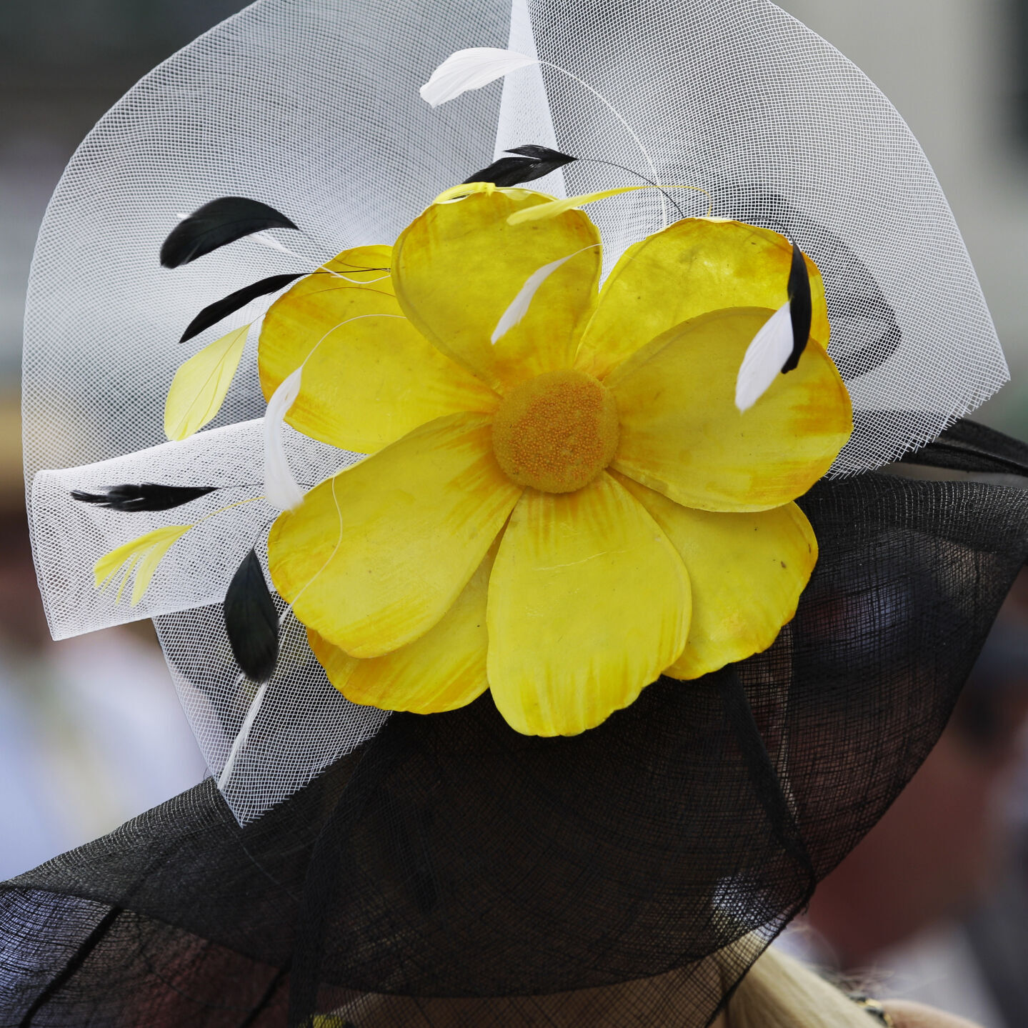 Kentucky Derby Horse Racing